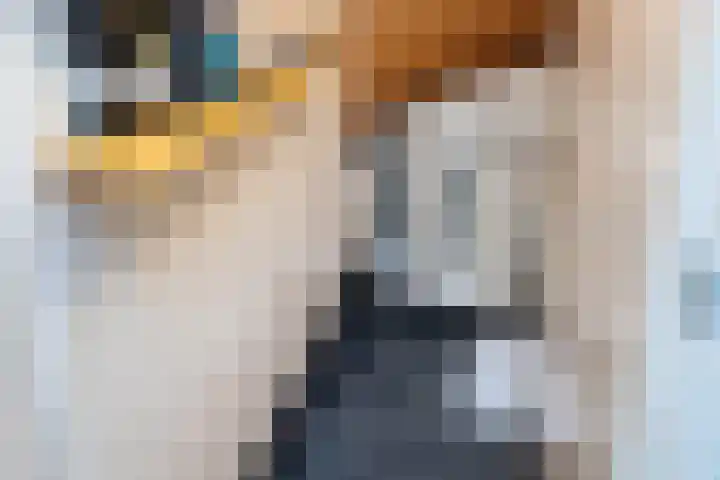 De Gruttenmaat 19 Reutum thumbnail 18