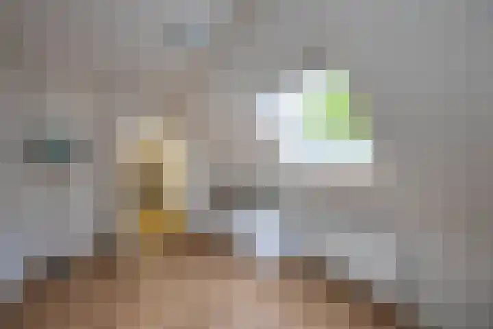 De Gruttenmaat 19 Reutum thumbnail 25