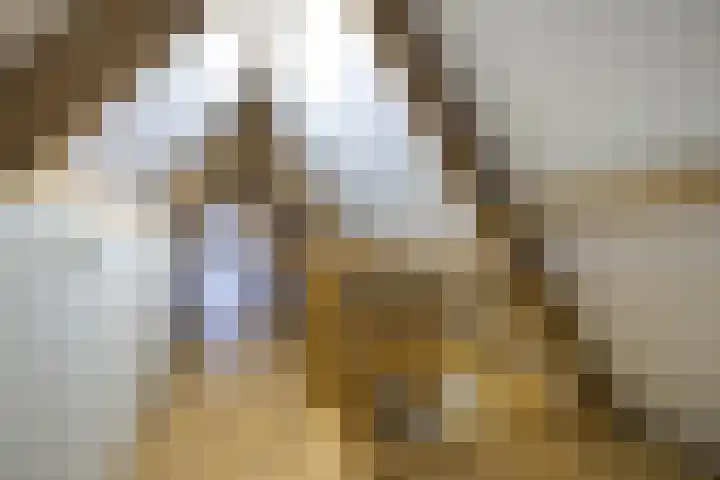 De Gruttenmaat 19 Reutum thumbnail 28
