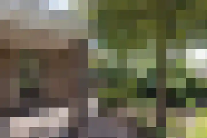 De Gruttenmaat 19 Reutum thumbnail 31