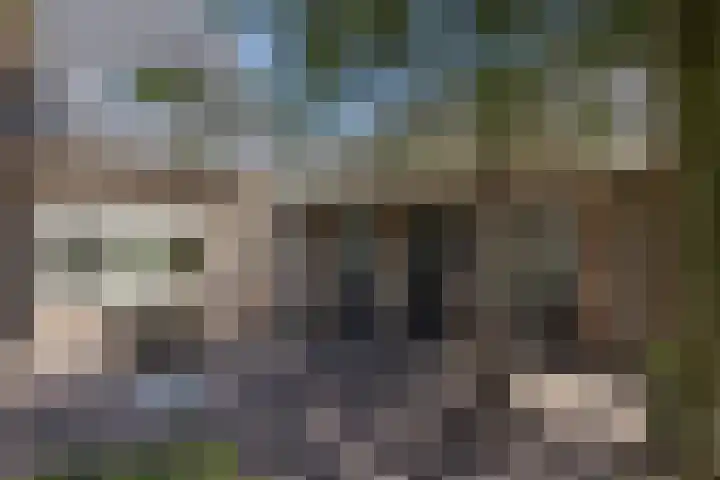 De Gruttenmaat 19 Reutum thumbnail 32
