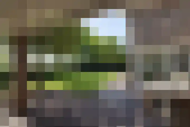 De Gruttenmaat 19 Reutum thumbnail 33