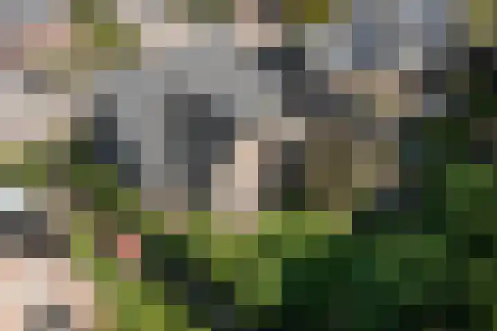 De Gruttenmaat 19 Reutum thumbnail 35