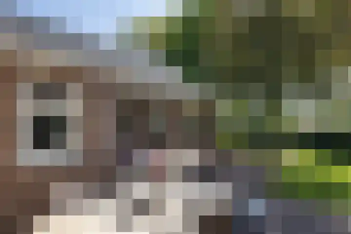 De Gruttenmaat 19 Reutum thumbnail 4