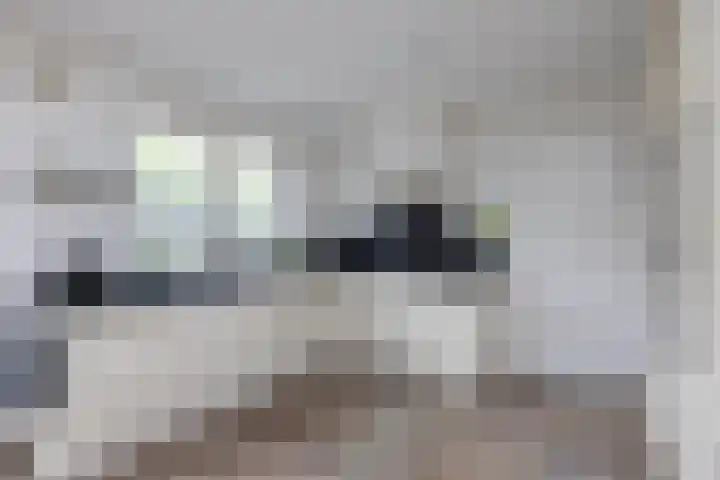 De Gruttenmaat 23 Reutum thumbnail 10