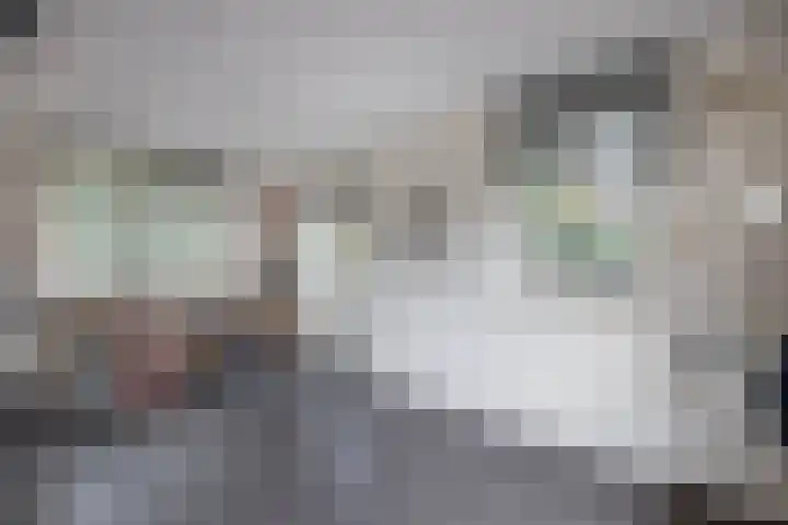De Gruttenmaat 23 Reutum thumbnail 12