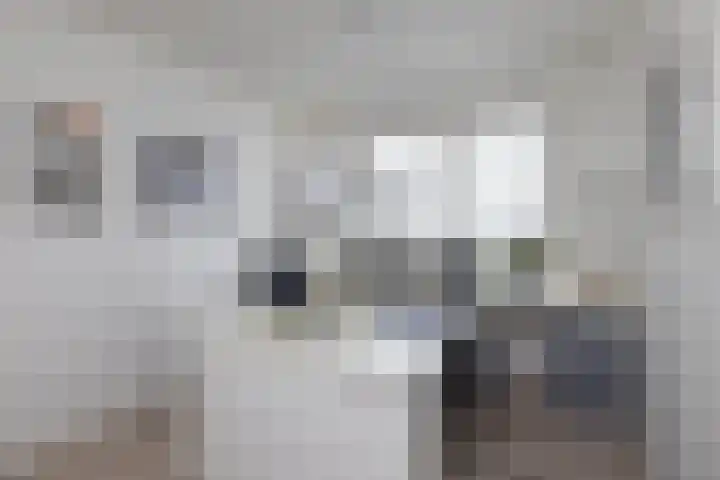 De Gruttenmaat 23 Reutum thumbnail 15