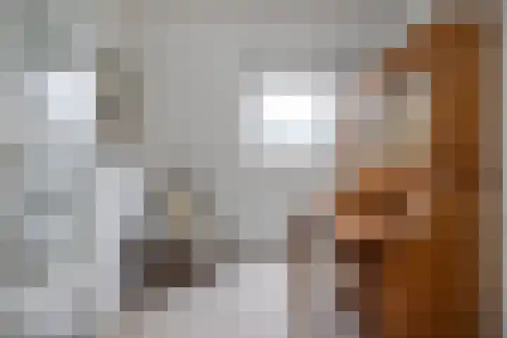 De Gruttenmaat 23 Reutum thumbnail 18