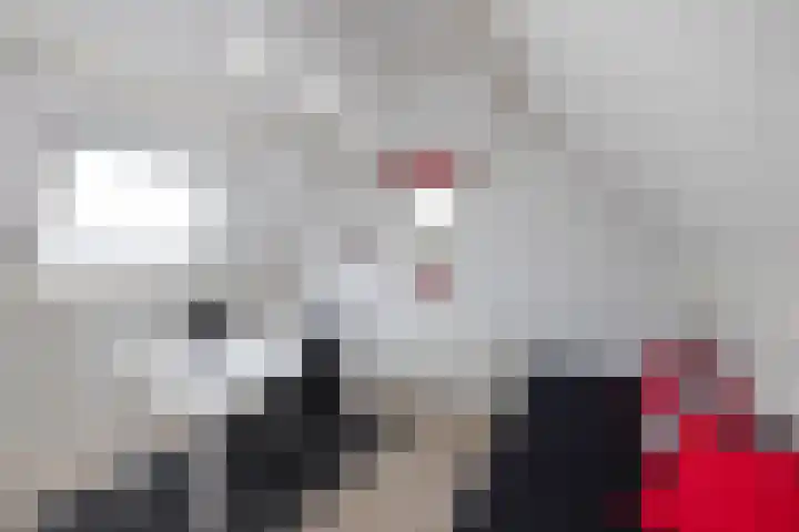De Gruttenmaat 23 Reutum thumbnail 21