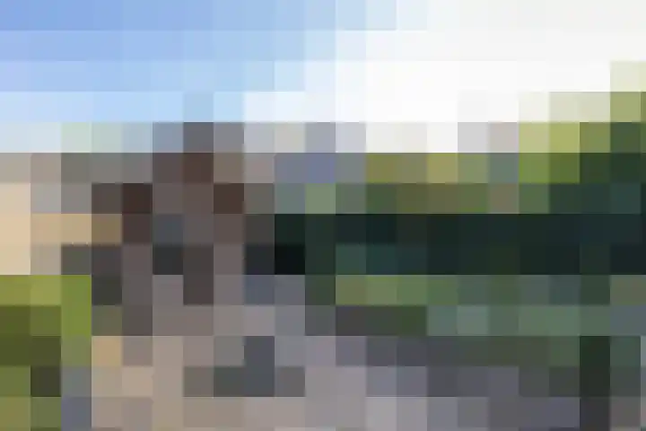 De Gruttenmaat 23 Reutum thumbnail 23