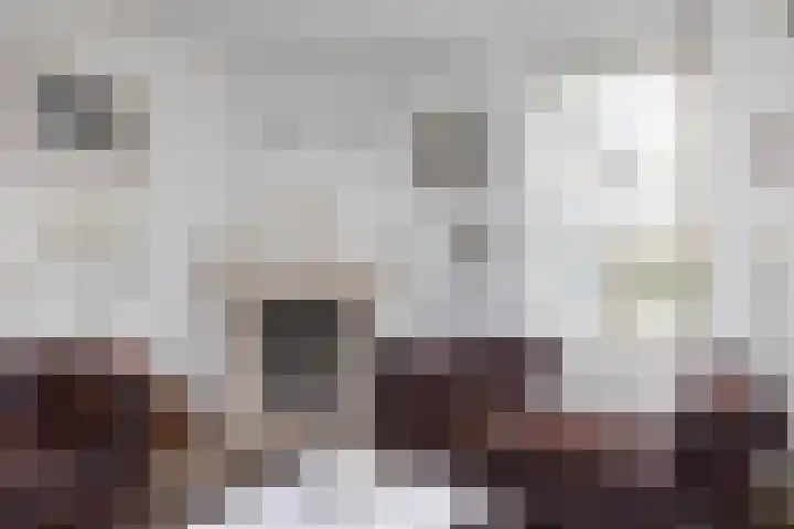 De Gruttenmaat 23 Reutum thumbnail 6