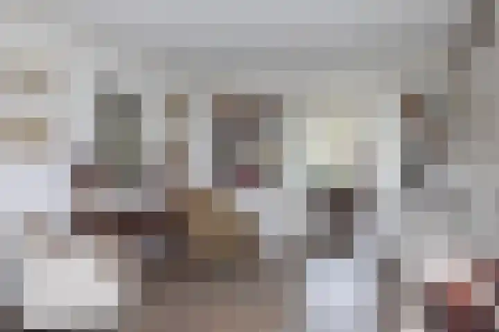 De Gruttenmaat 23 Reutum thumbnail 7