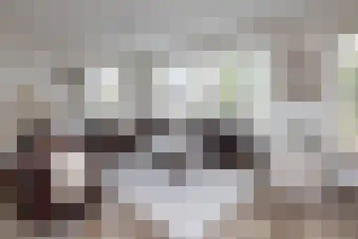 De Gruttenmaat 23 Reutum thumbnail 8