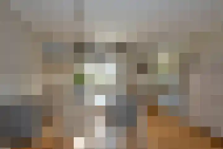 De Gruttenmaat 6 Reutum thumbnail 11