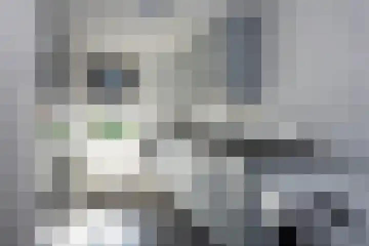 De Gruttenmaat 6 Reutum thumbnail 14