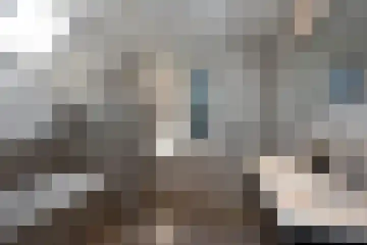 De Gruttenmaat 6 Reutum thumbnail 18
