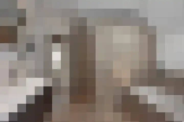 De Gruttenmaat 6 Reutum thumbnail 19