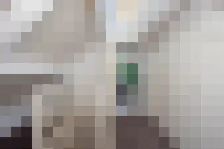 De Gruttenmaat 6 Reutum thumbnail 26