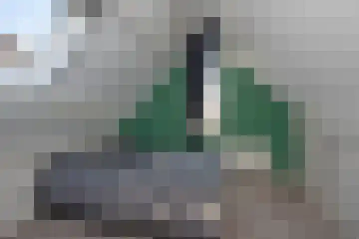 De Gruttenmaat 6 Reutum thumbnail 27