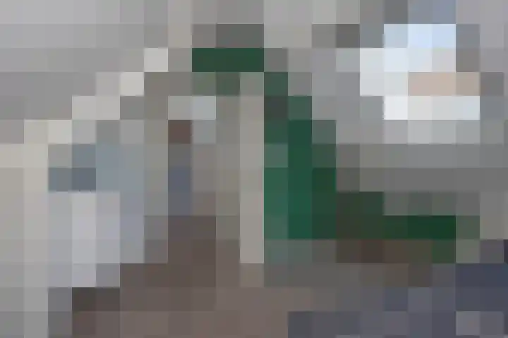 De Gruttenmaat 6 Reutum thumbnail 28