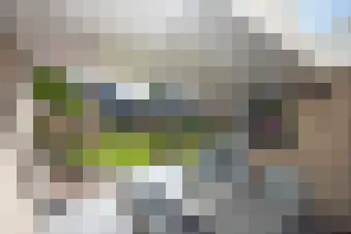 De Gruttenmaat 6 Reutum thumbnail 30