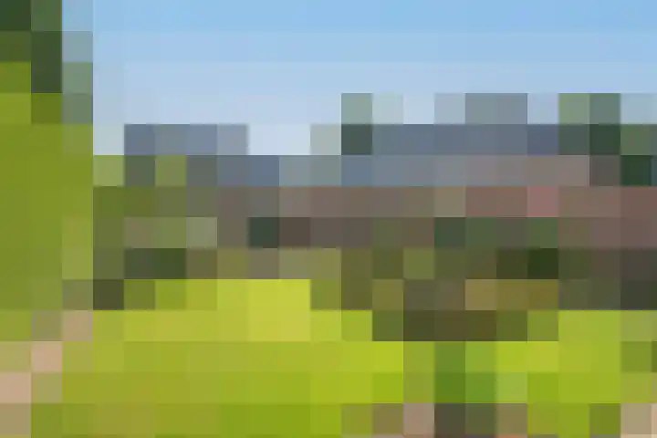 De Gruttenmaat 6 Reutum thumbnail 31