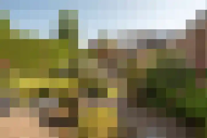 De Gruttenmaat 6 Reutum thumbnail 35