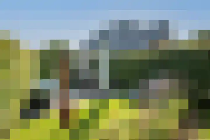 De Gruttenmaat 6 Reutum thumbnail 37