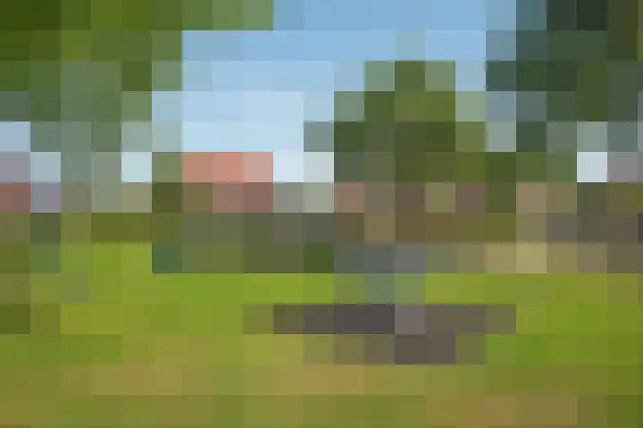 De Gruttenmaat 6 Reutum thumbnail 40
