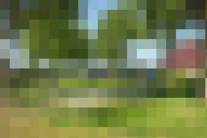 De Gruttenmaat 6 Reutum thumbnail 41