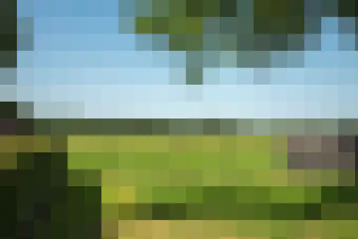 De Gruttenmaat 6 Reutum thumbnail 42