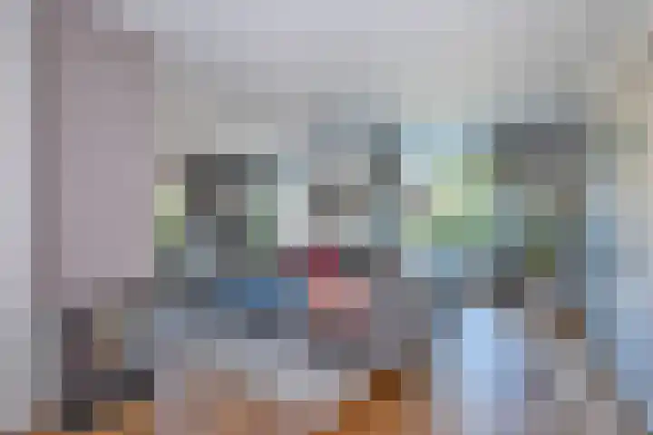 De Gruttenmaat 6 Reutum thumbnail 6