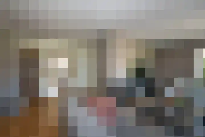 De Gruttenmaat 6 Reutum thumbnail 8