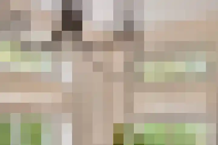 De Gruttenmaat 9 Reutum thumbnail 11
