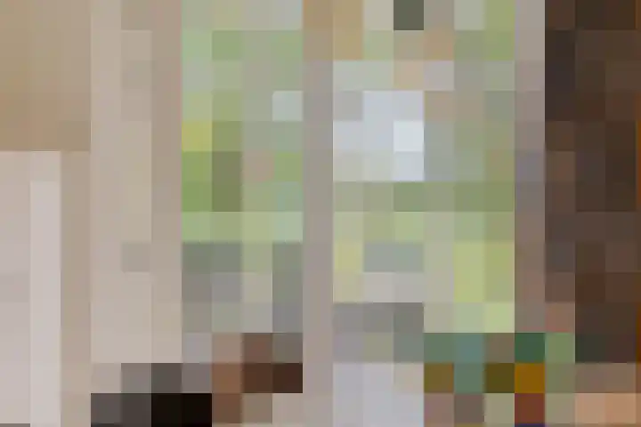 De Gruttenmaat 9 Reutum thumbnail 12