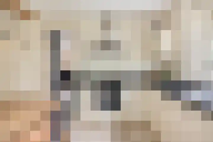 De Gruttenmaat 9 Reutum thumbnail 13