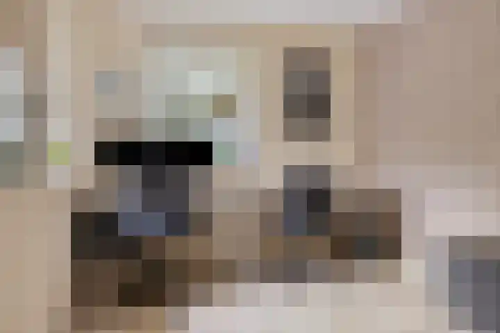 De Gruttenmaat 9 Reutum thumbnail 16