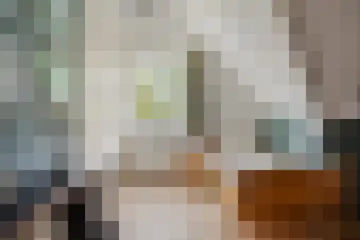 De Gruttenmaat 9 Reutum thumbnail 22