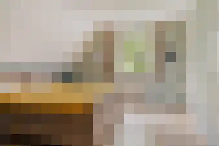 De Gruttenmaat 9 Reutum thumbnail 24