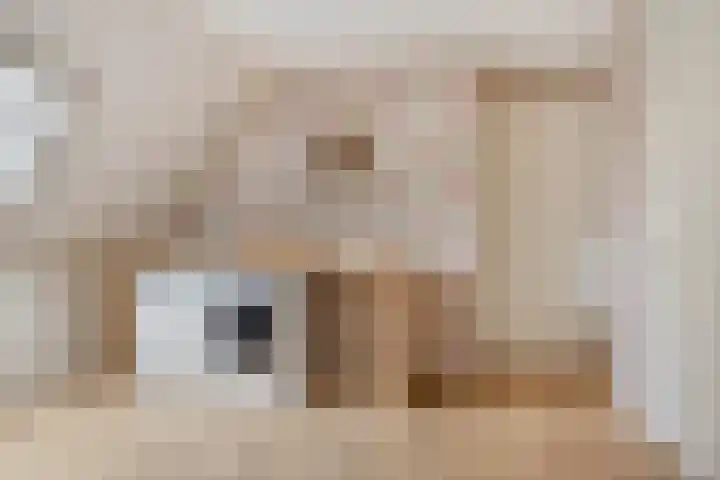 De Gruttenmaat 9 Reutum thumbnail 26