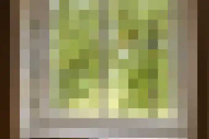 De Gruttenmaat 9 Reutum thumbnail 30
