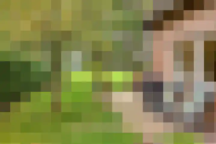 De Gruttenmaat 9 Reutum thumbnail 31