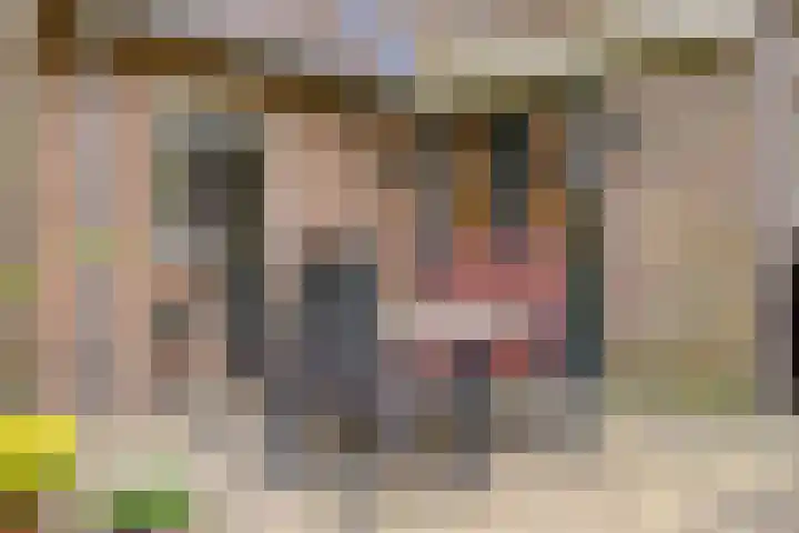 De Gruttenmaat 9 Reutum thumbnail 33