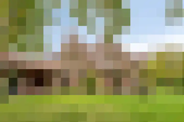 De Gruttenmaat 9 Reutum thumbnail 34