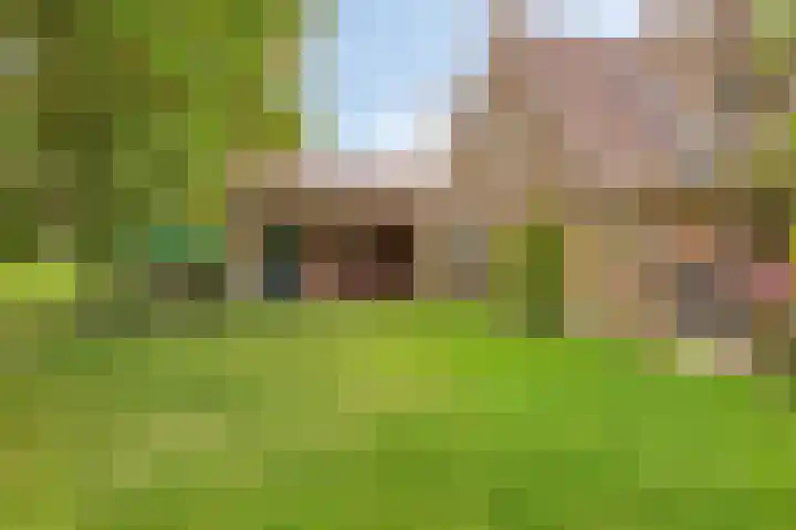 De Gruttenmaat 9 Reutum thumbnail 35