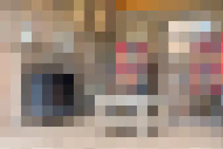 De Gruttenmaat 9 Reutum thumbnail 37
