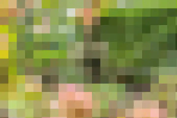 De Gruttenmaat 9 Reutum thumbnail 39