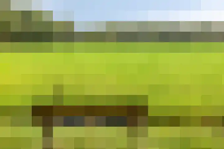 De Gruttenmaat 9 Reutum thumbnail 40