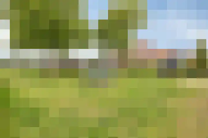 De Gruttenmaat 9 Reutum thumbnail 42