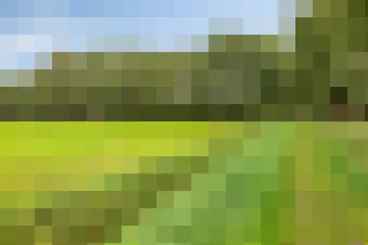 De Gruttenmaat 9 Reutum thumbnail 44